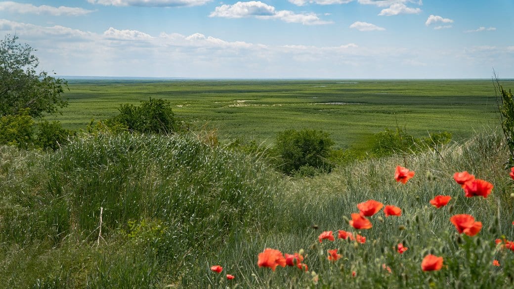 Швеція долучиться до досліджень артефактів, що відкрилися після підриву Каховської ГЕС