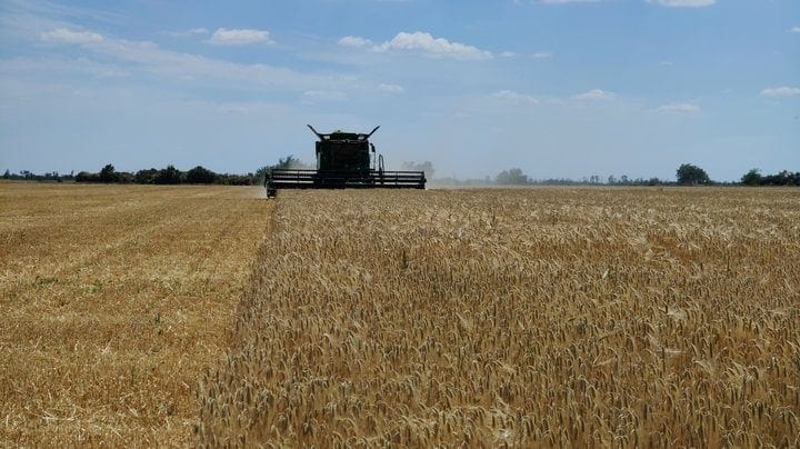 Партнери України виділили $10,5 млн, щоб зберегти врожай аграріїв із прифронтових регіонів