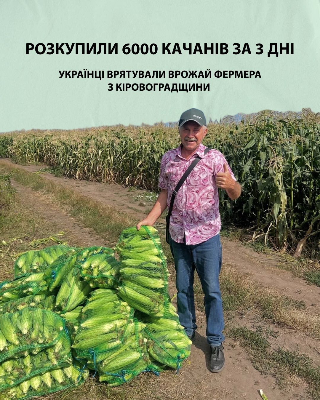 Розкупили 6000 качанів за 3 дні: українці врятували врожай фермера з Кіровоградщини