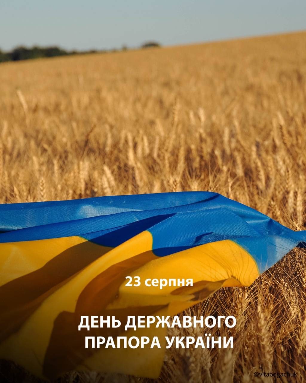 23 серпня — День Державного Прапора України