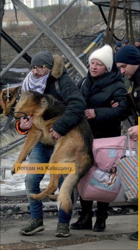 Макс Левін та Іловайськ: фотограф, який документував правду про війну