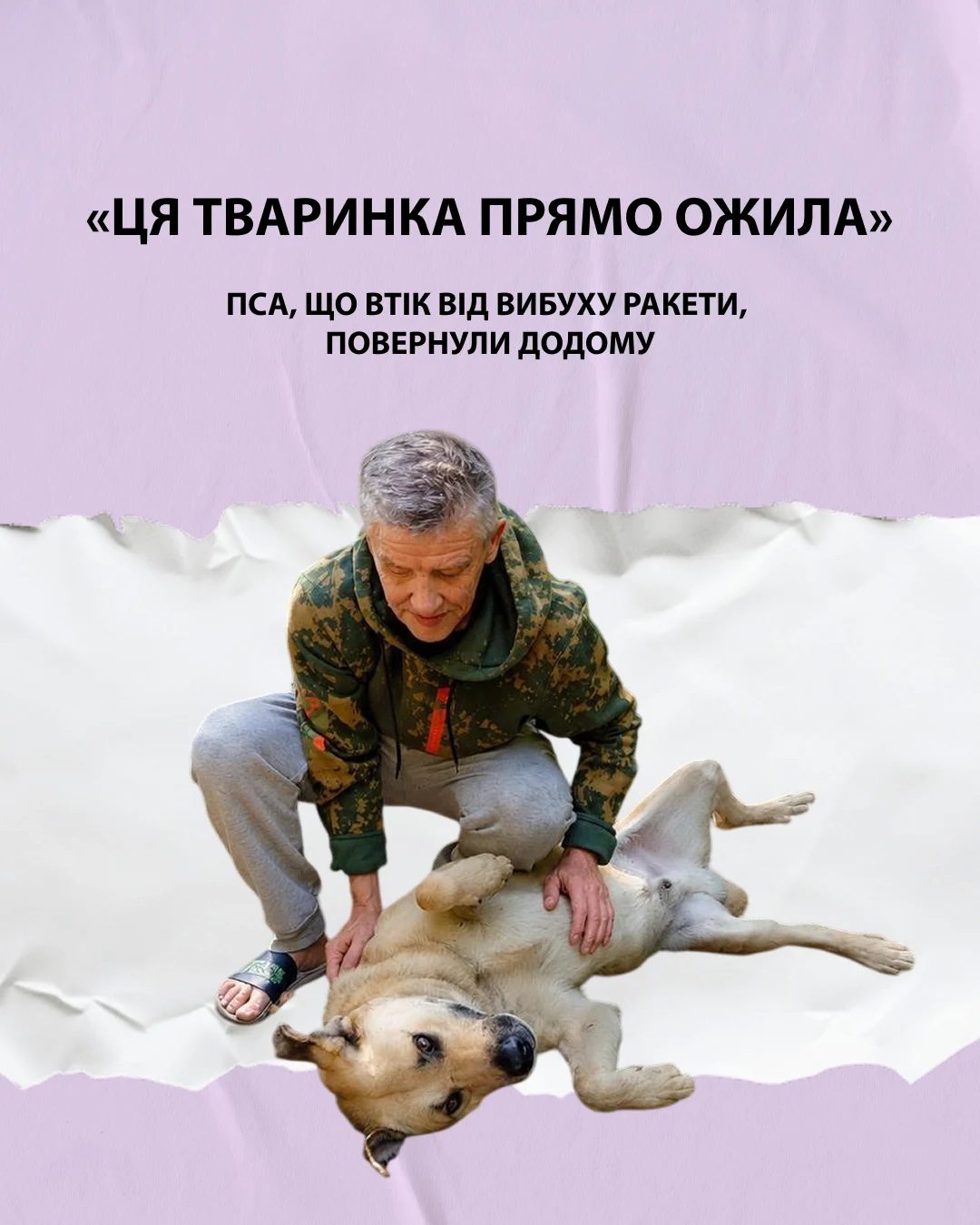 Пес утік від вибуху ракети й прийшов по допомогу в кав’ярню: як українці повернули його додому