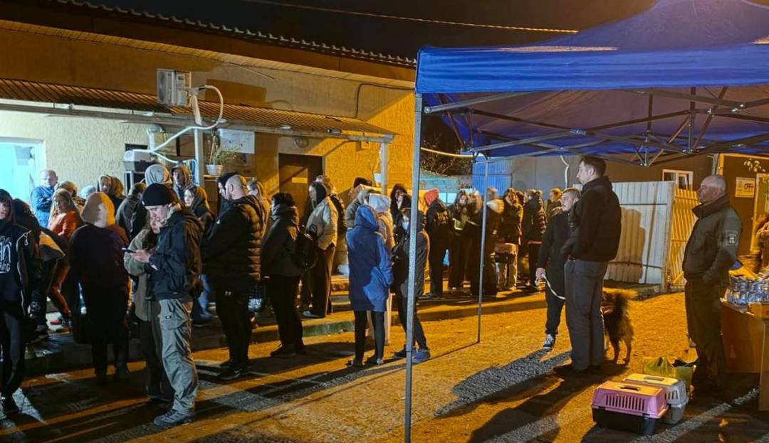 Чернігівці об’єдналися та надали прихисток 101 тварині після удару по ветеринарному центру (ФОТО)