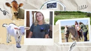 Від однієї корови з OLX до наноферми на 500 тварин. Досвід «Зеленого Гаю», що став прихистком під час війни (відео)
