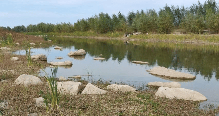Разом із Великим Лугом на місці Каховського водосховища відроджуються і степи