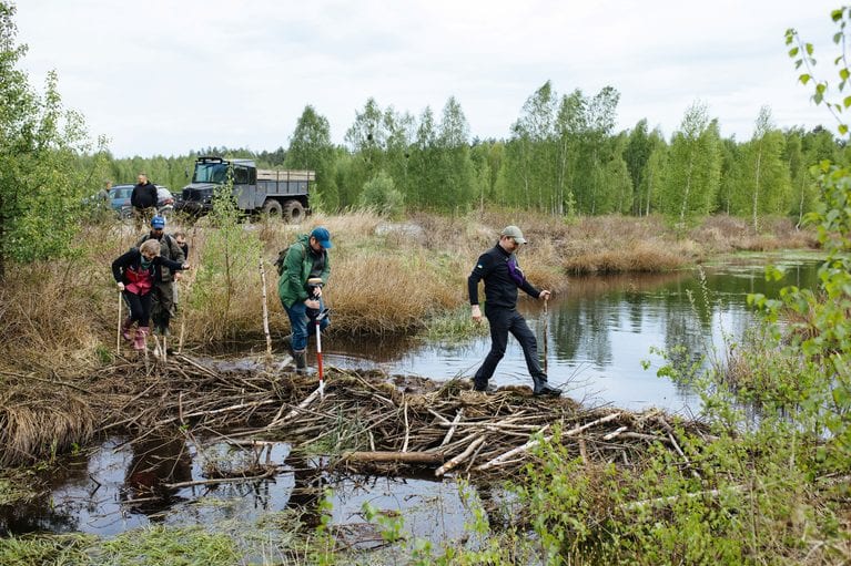 На Поліссі розпочали наймасштабніше в історії України відновлення боліт