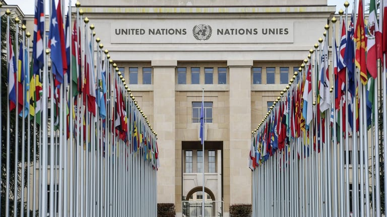 Українця обрали до Підкомітету ООН із запобігання катуванням