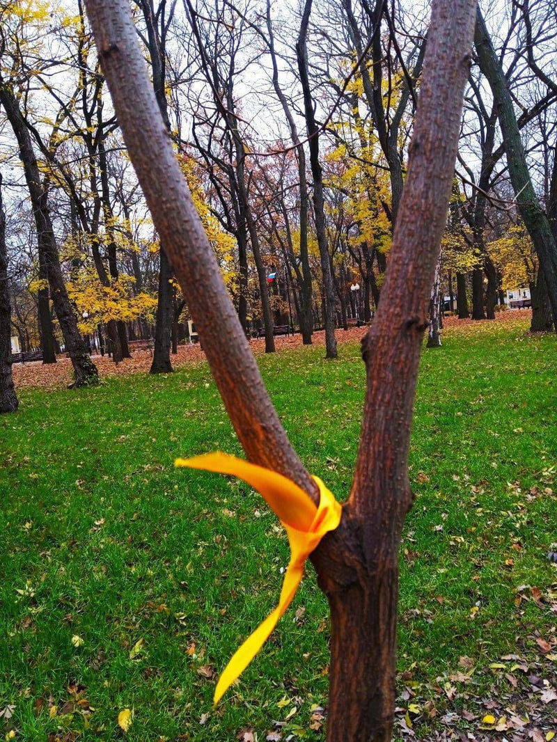 &laquo;Жовта стрічка&raquo; у Мелітополі поширила понад 100 символі спротиву