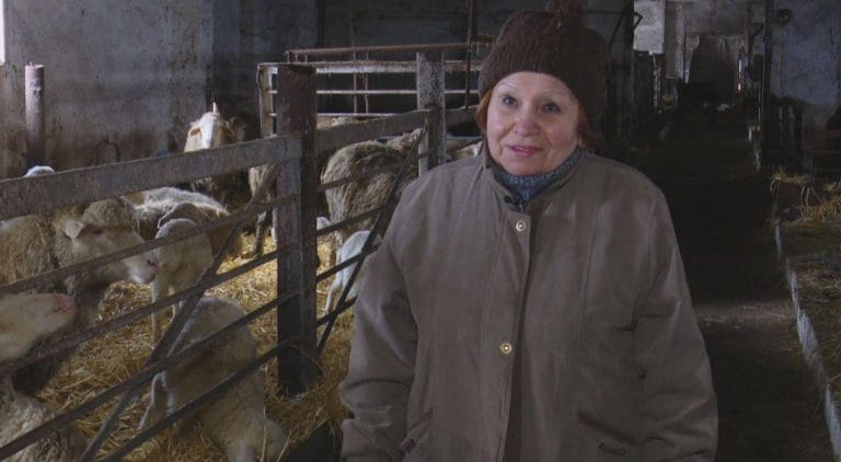 На Донбассе восстановили более 700 поврежденных домов