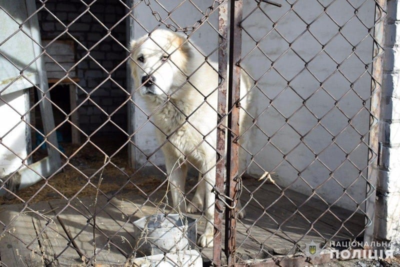 Под Славянском восстанавливают кинологический центр полиции