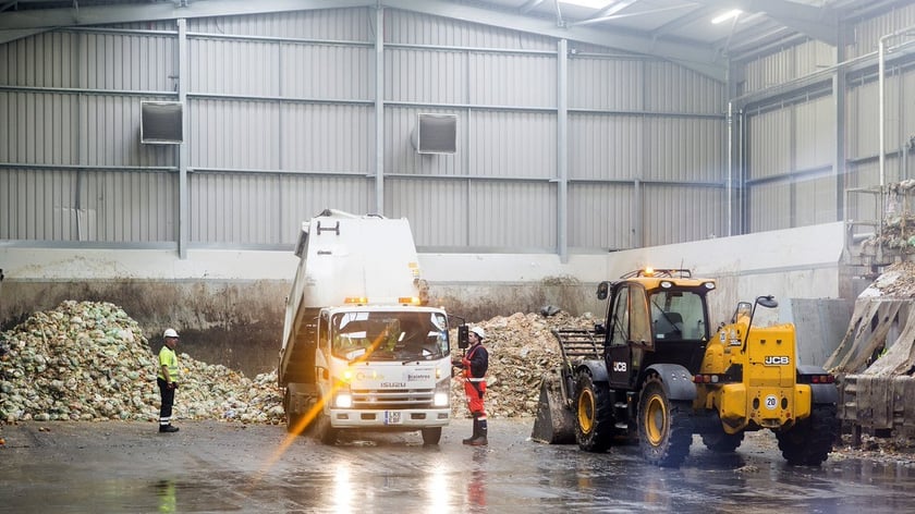 На Львівщині збудують завод із переробки тваринних відходів