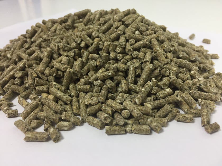 У новий завод на Херсонщині інвестували 3 мільйони доларів