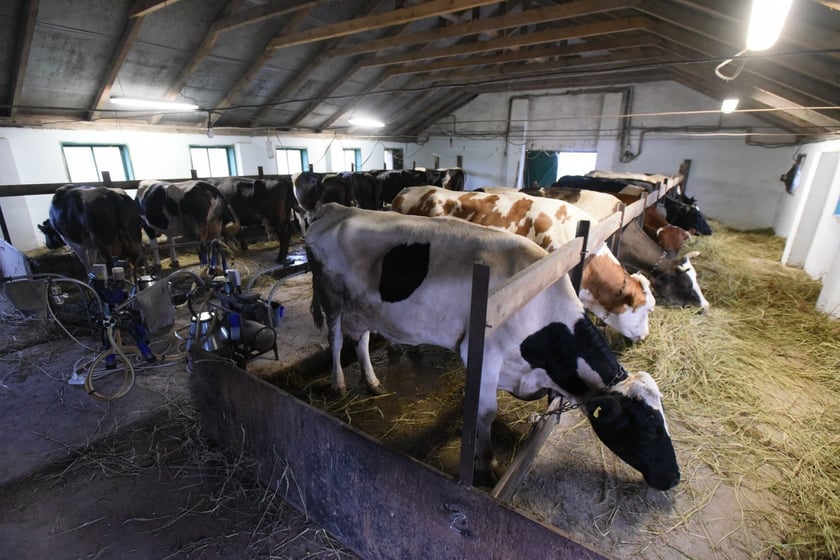 Світовий банк дасть українським аграріям 200 мільйонів доларів