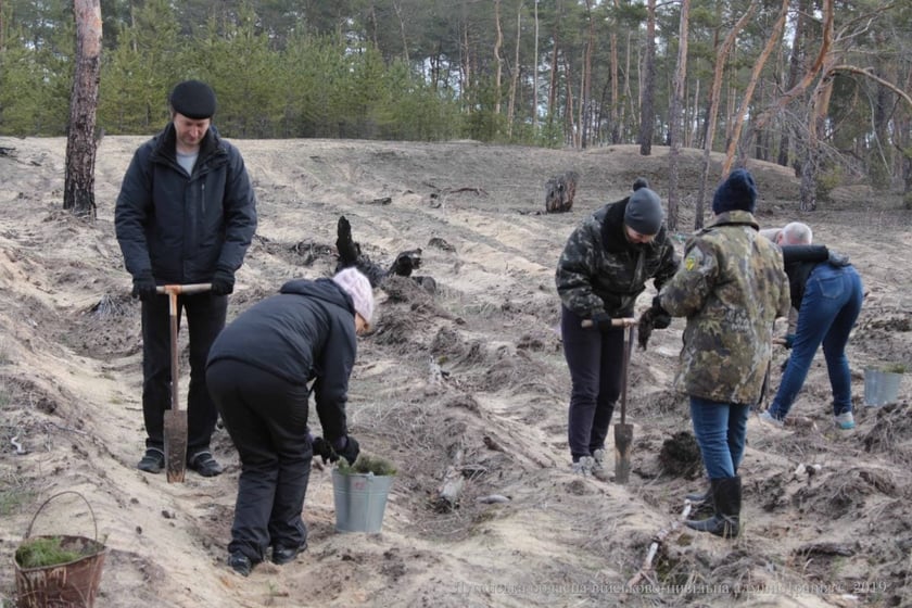На Луганщине восстанавливают уничтоженный войной лес