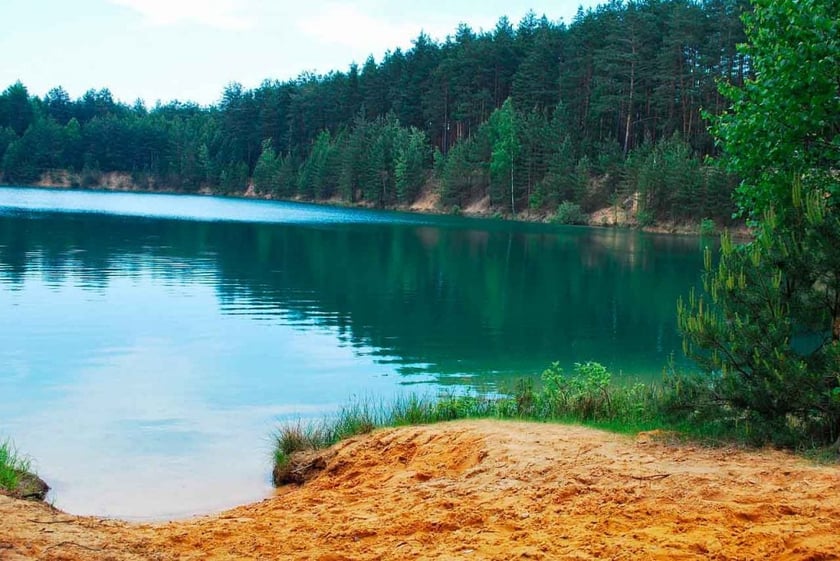 На Чернігівщині з’явиться перший екомаршрут – “зелений шлях”