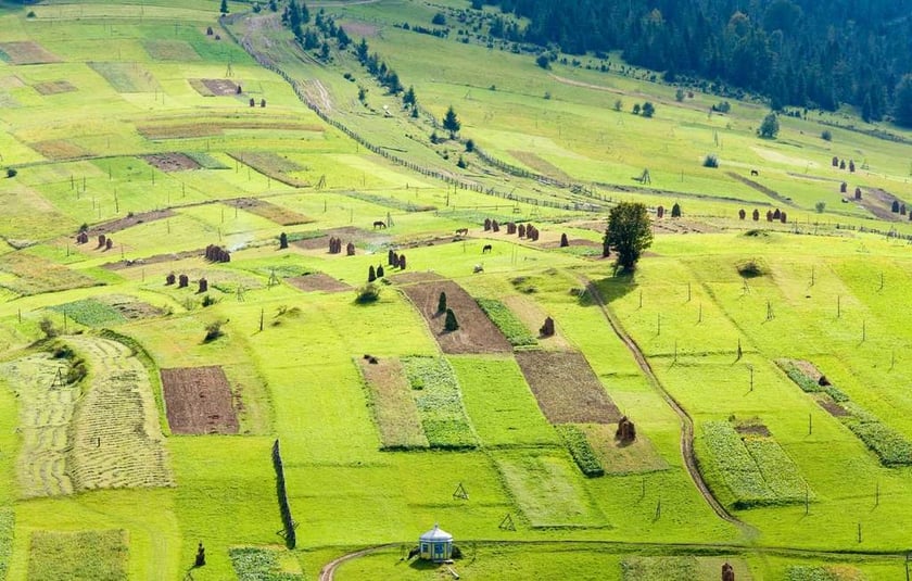 На Донетчине участникам АТО предоставят более двух тысяч земельных участков