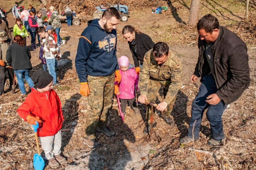 За 8 годин на Львівщині висадили 30 тисяч дерев і встановили рекорд