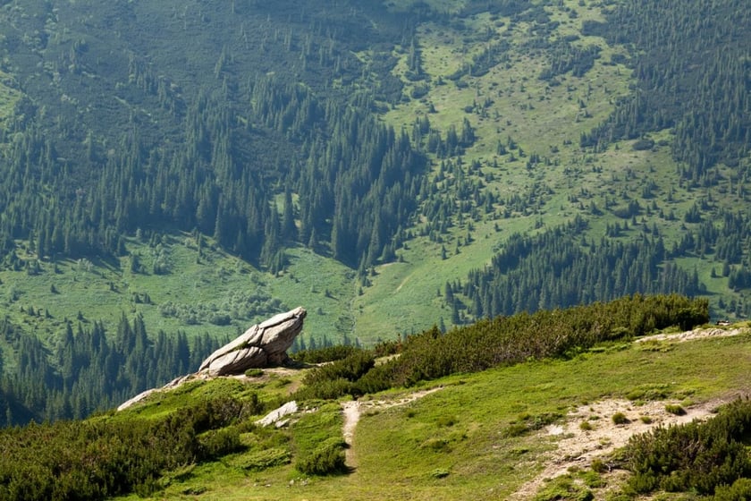 Україна отримає 600 тисяч євро для популяризації Карпат