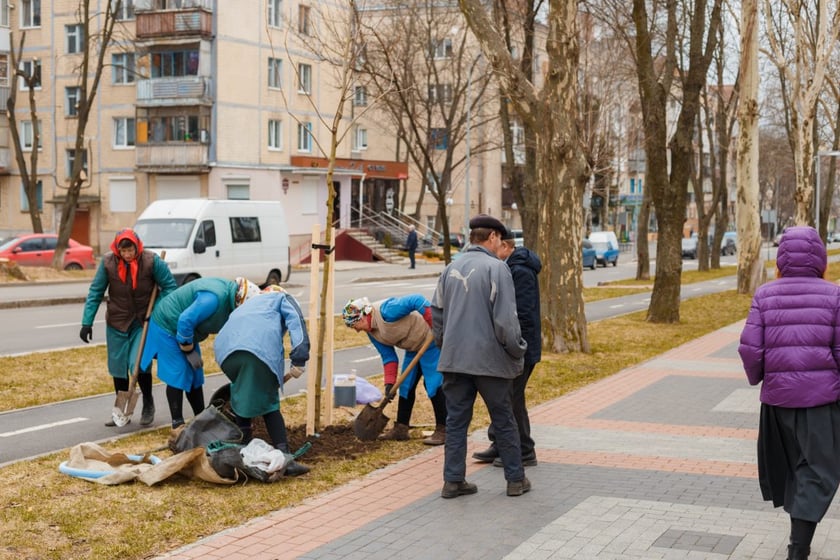 У Вінниці планують висадити тисячу дерев