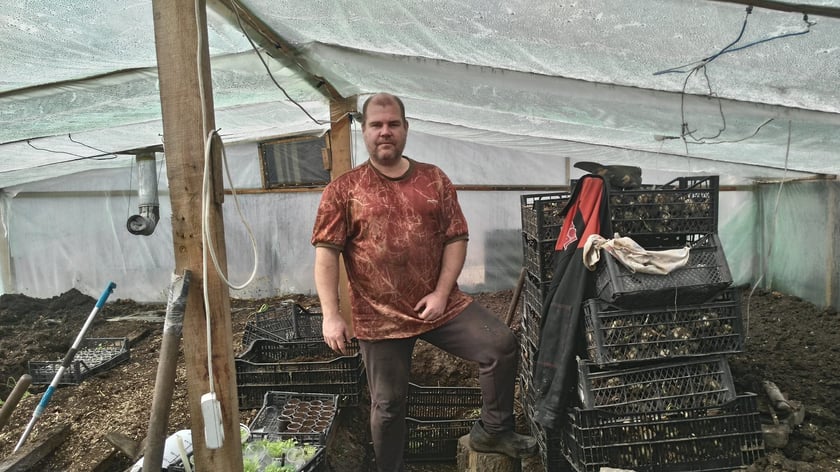 Житель Маріуполя роздав безкоштовно тисячі тюльпанів