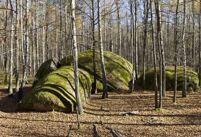 На Житомирщині створять новий туристичний маршрут