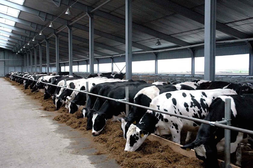 На Івано-Франківщині збудують біогазовий завод на фермі