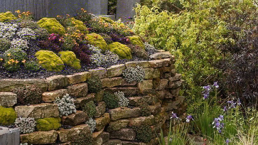 Українська дизайнерка перемогла на конкурсі садів у Великобританії