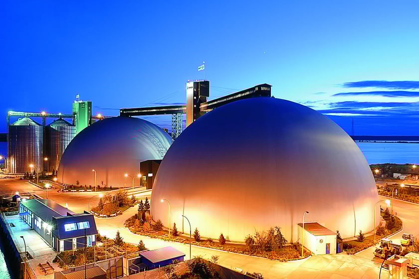 Український “Нібулон” інвестуватиме в економіку Єгипту: що відомо?