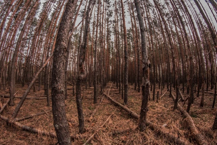 Британські науковці досліджують Чорнобиль за допомогою дронів