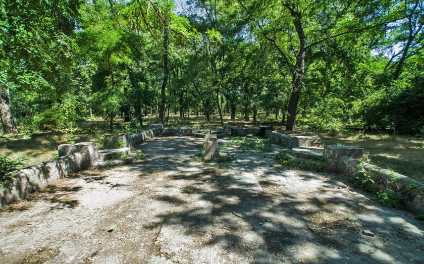 У Києві розчистять хащі на  закинутій вулиці і встановлять сонячні панелі