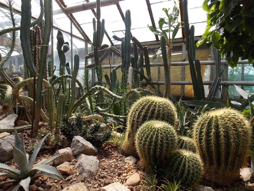 У Запоріжжі розпочали масштабну реконструкцію ботанічного саду