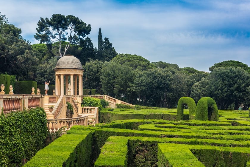 На Житомирщині відкриють перший зелений лабіринт