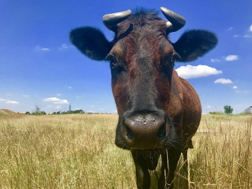 Сільські громади можуть отримати 35 000 000 доларів