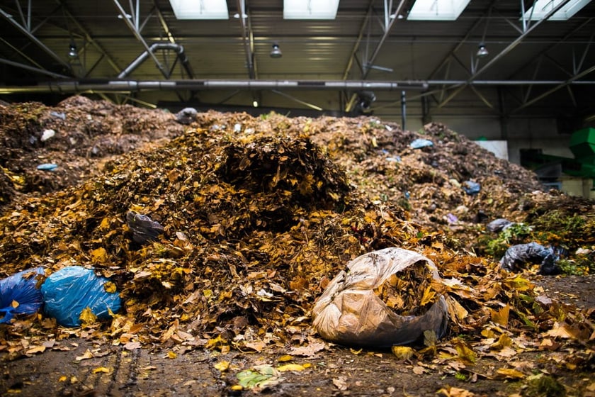 У Києві збудують перший в Україні комплекс з переробки опалого листя