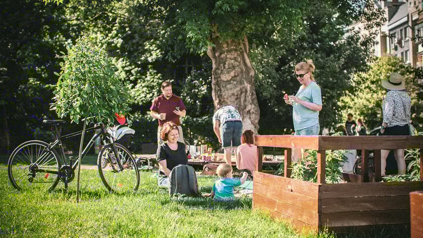Самосад. Унікальний парк у Києві, які створили небайдужі містяни