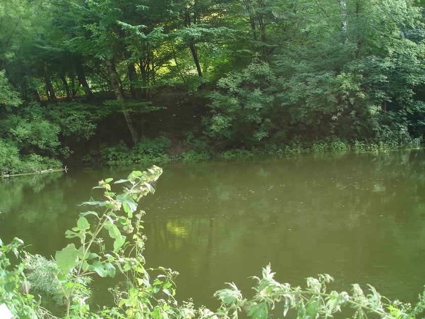 У Тернополі за 1,7 млн грн очистять водойми