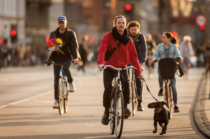 В українських містах уперше проходить конкурс “Велопрацедавець року”