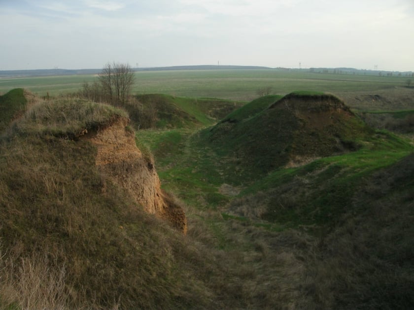 На Вінниччині розвиватимуть астротуризм: що це буде?