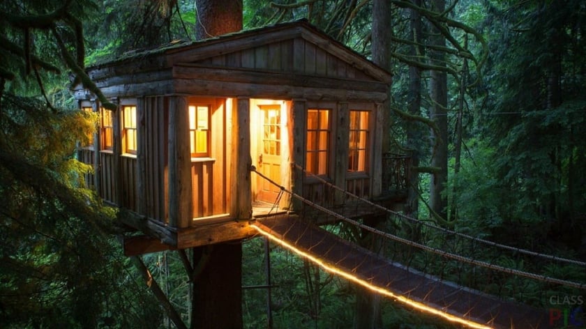 Немає аналогів в Україні: як підприємниця зробила бізнес на будинках на деревах