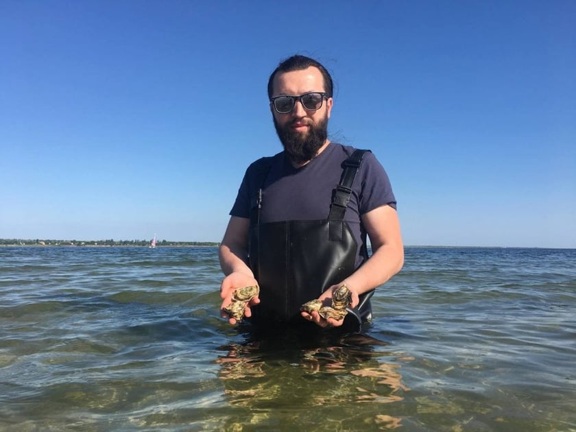 Юрист-фермер вирощує чорноморських устриць