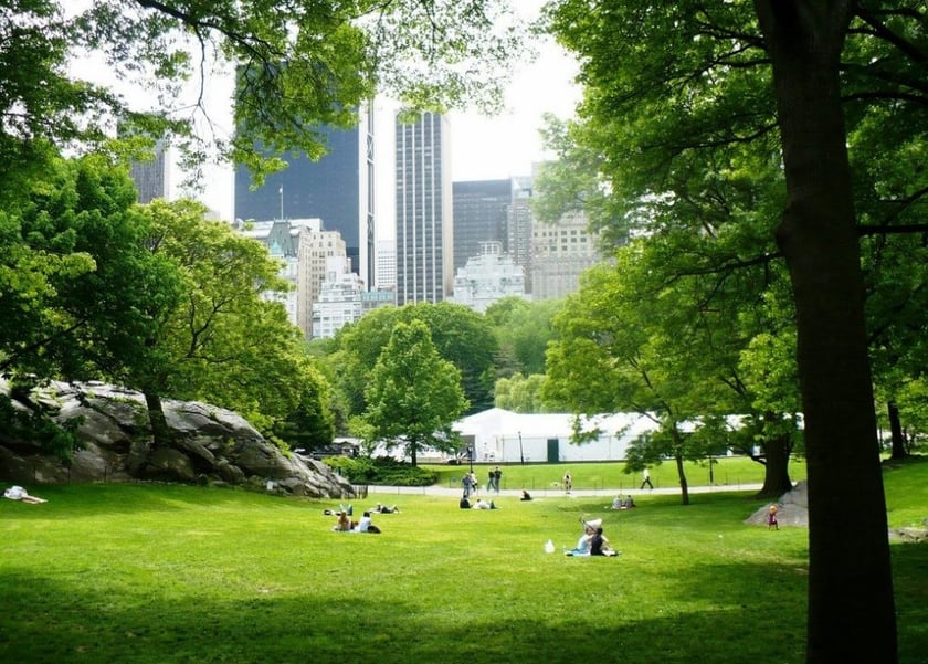 На лівому березі Києва облаштують зону відпочинку