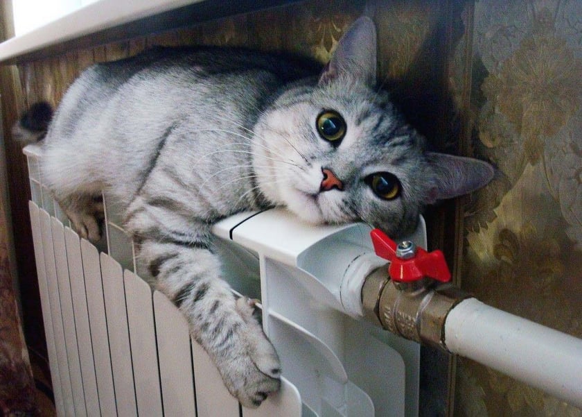 У Києві запрацював сайт для перевірки споживання тепла у будинках