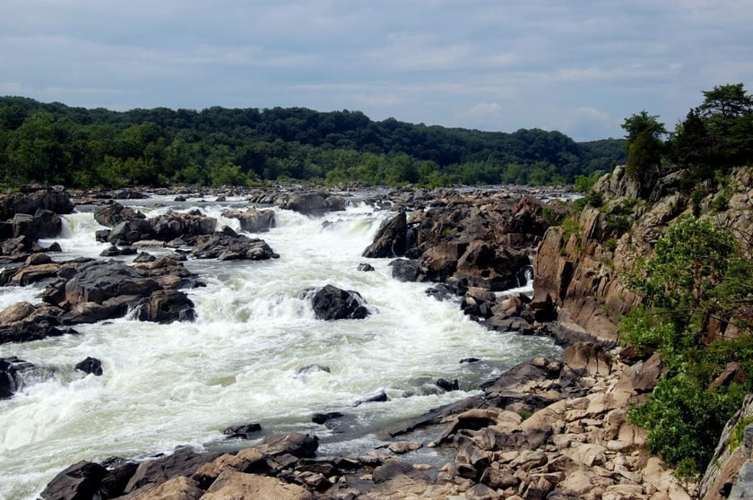 На Миколаївщині відкрили дві нові екологічні стежки