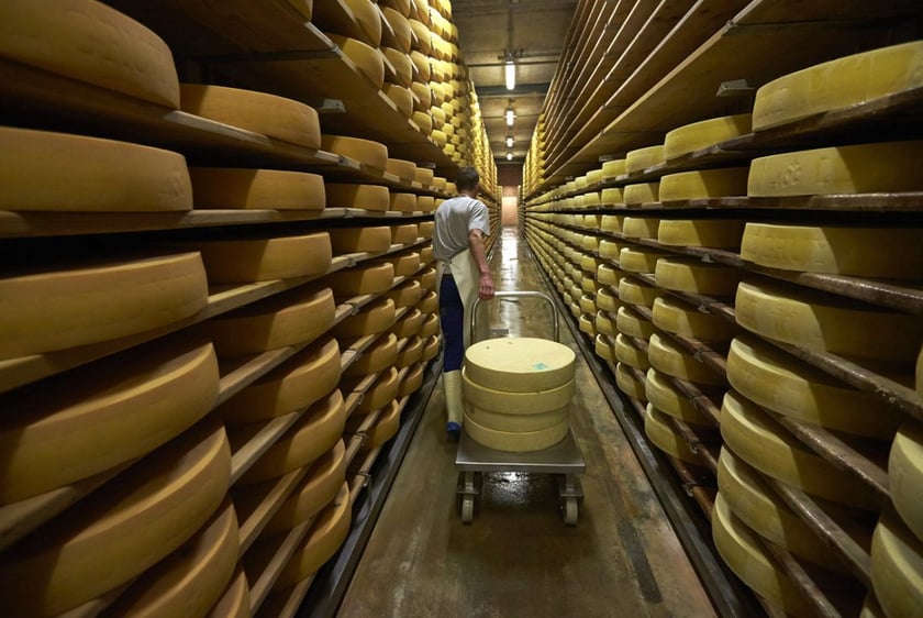 На Херсонщині заснували перший в Україні банк сиру