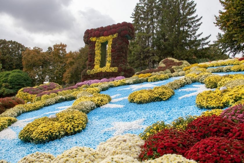 У Києві стартував щорічний фестиваль хризантем (ФОТО)