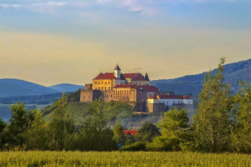 На Закарпатті подбають про оновлення унікального замку