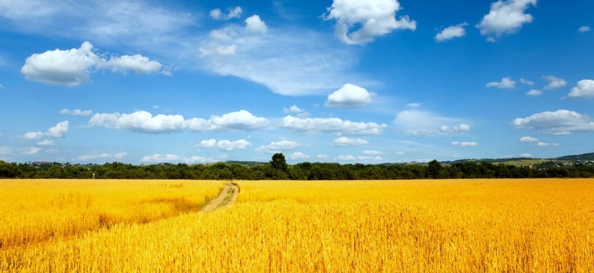 Назвали рейтинг процвітання України у світі