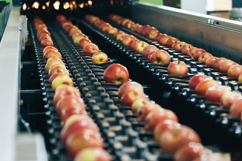 На Дніпропетровщині вирощують яблука для 20 країн світу