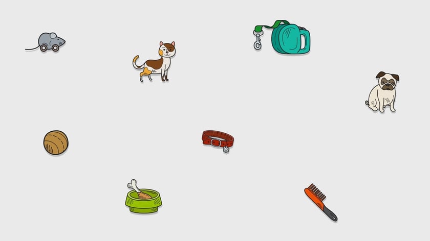 Українські зоотовари: ТОП-10 виробників одягу, будиночків та смаколиків для тварин