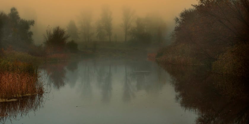 Українські території внесли до Смарагдової мережі Європи
